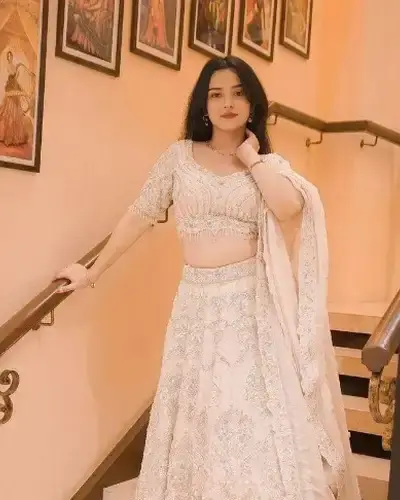 Escort Vijapur